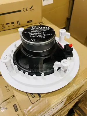 50watts Tundra Ceiling Speakers
