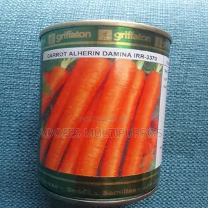 Carrot Seeds Griffaton 100G