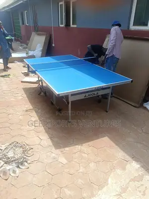 Outdoor Joola Waterproof Table Tennis Board