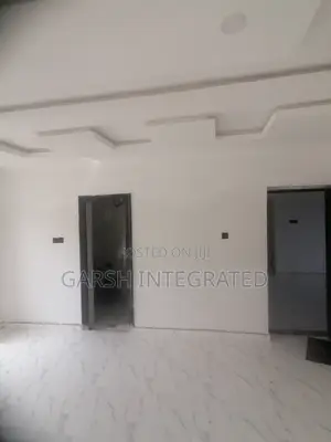 Professional Painting