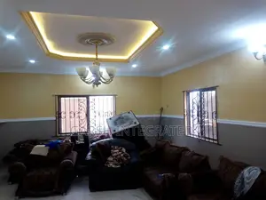Professional Painting