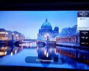 Smart LG TV 65inches Worked