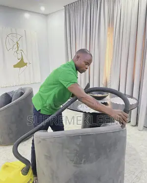 Professional Upholstery Sofa Cleaning Service