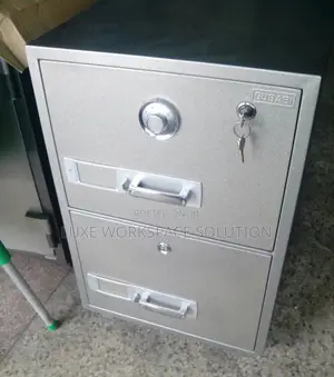 Gubabi 2 Drawers Fireproof Cabinet