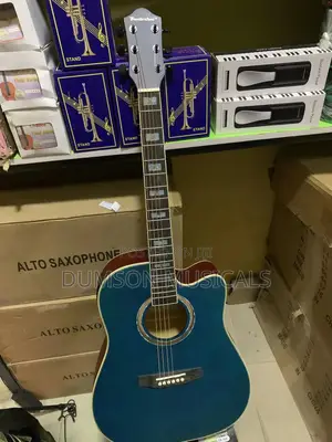 Acoustic Guitar 6 Strings
