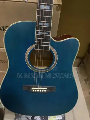 Acoustic Guitar 6 Strings
