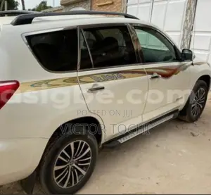 Car Body Stickers