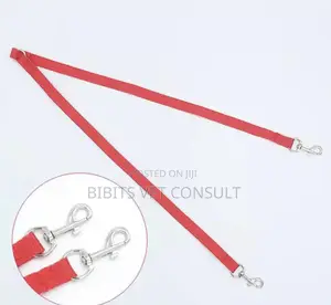 Nylon Double Walking Leash Tip for Small Dogs
