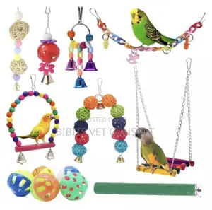 Twelve Piece Set Parrot Bird Toy