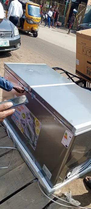 Snowsea Double Door Freezer