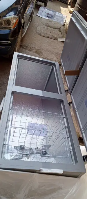 Hisense Double Door Freezer 66DD