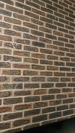 South Africa Bricks