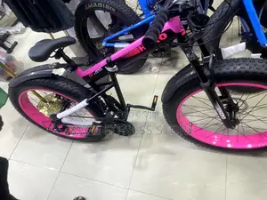 Fat Tire Bicycle