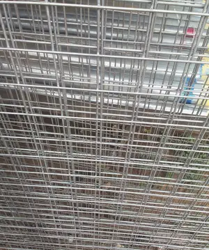 Mesh Wire 2 X 1