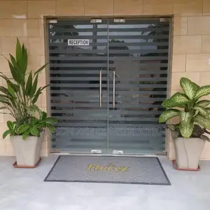 Frameless Door / Glass Door / Toughened Glass / Frozen