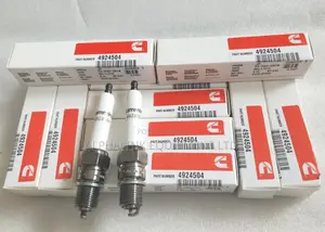 Cummins Gas Spark Plug