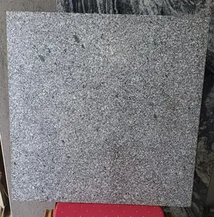 Flamed Granite for Compound and Poolside.