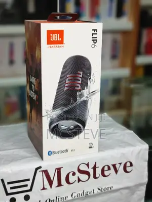 JBL Flip 6 Wireless Bluetooth Speaker