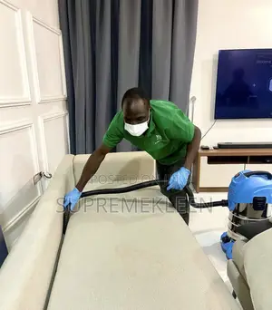 Professional Carpet And Upholstery Cleaning Services