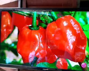  at Samsung TV 40inches Repair
