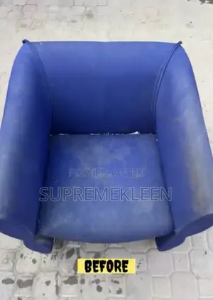 Cleaning Services Or Fumigation Services Need Dm