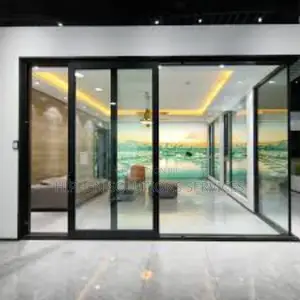 Frameless Glass Door
