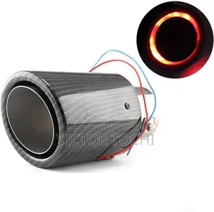 Exhaust Muffler With Light