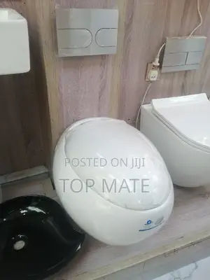 Egg Shape Wall Hung Wc