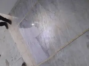 Professional Stone , Marble/Granite Restoration Polishing