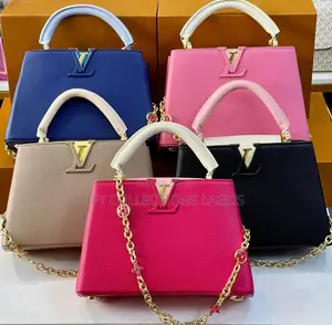 Louis Vuitton Luxury Handbags