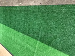 Artificial Grass