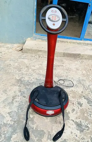 Power Maxx Massager / Vibrator
