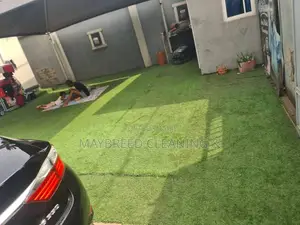 Artificial Grass Cleaning and House Cleaning