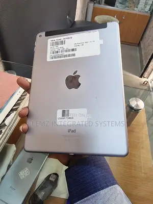 Apple iPad Air 2 64 GB Gray