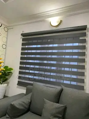 Day and Night Window Blinds.