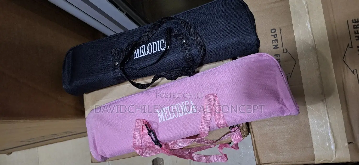 Professional Melodica