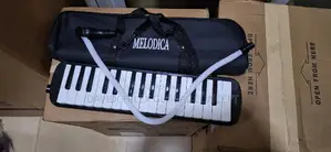 Professional Melodica