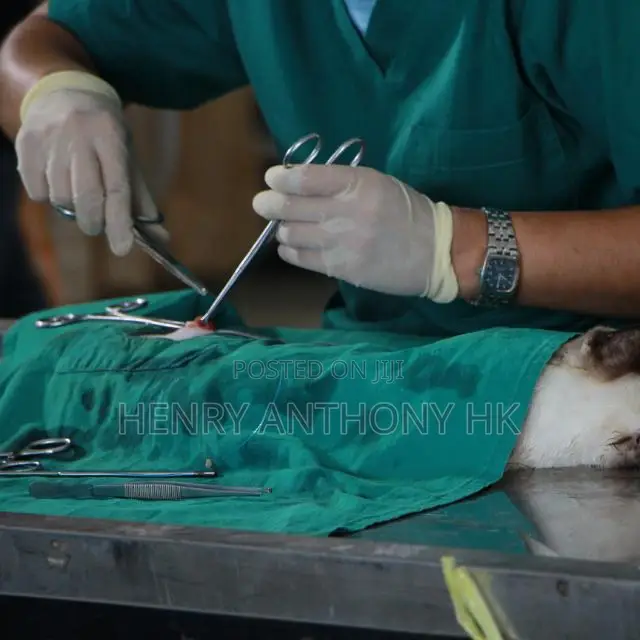 Veterinary Service