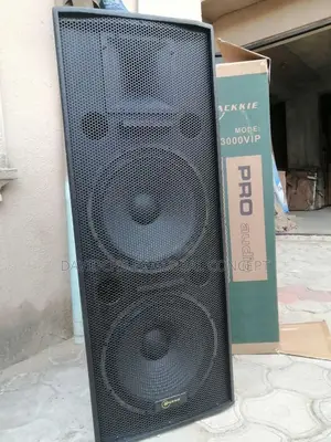 Mackkie Vip 15inches Double Speaker