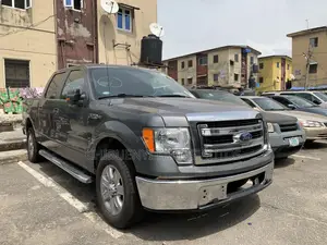 Ford F-150 2014 Gray