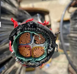 Armor Cable 95mm