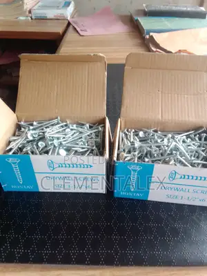 Plasterboard Accessories Screw
