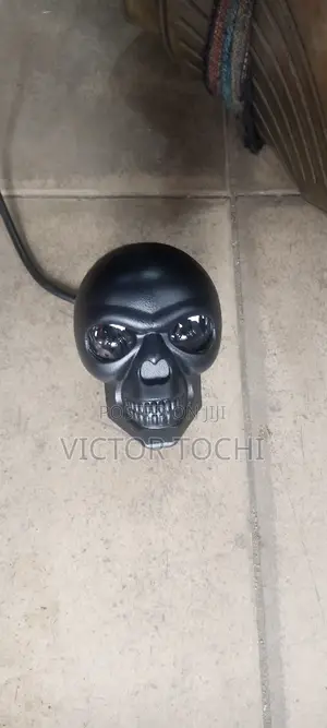 Skull Face LED Super Bright Bumper Light