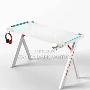 Luxurious Gaming Desk