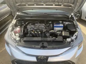 Toyota Corolla LE 2021 Silver