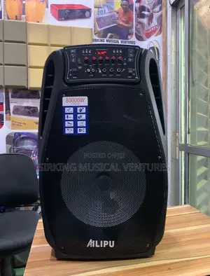 8000w 15” PA System With 2mic and Bluetooth/Usb
