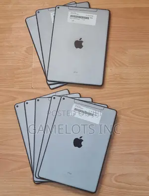 Apple iPad Air 256 GB Gray