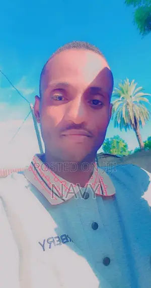 Mr Ibrahim Jibo