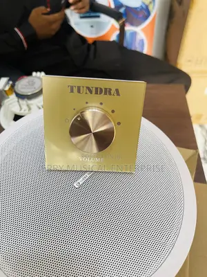 Gold Volume Control for Ceiling Speakers