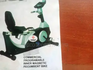 Commercial Programmable Inner Magnetic Recumbent Bike